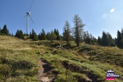 2024-08-24 KTRE 2024 -090428-DSC_1061